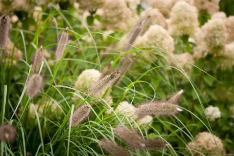 September im Garten